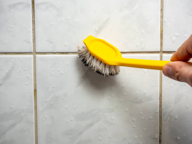 Best Commercial Mold Removal  in Sandy Springs, SC