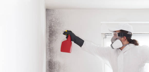 Best Office Mold Removal Services  in Sandy Springs, SC