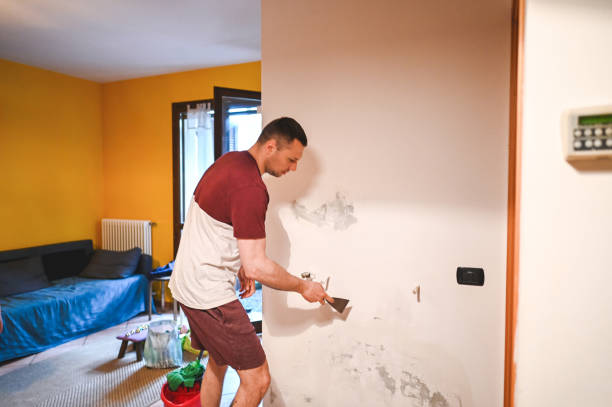 Best Mold Cleaning Services  in Sandy Springs, SC